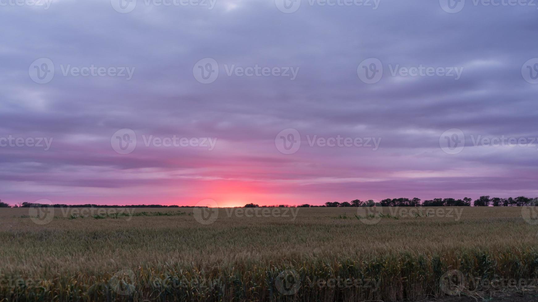 beau coucher de soleil sur le terrain. blagoveshenskaya, russie. photo