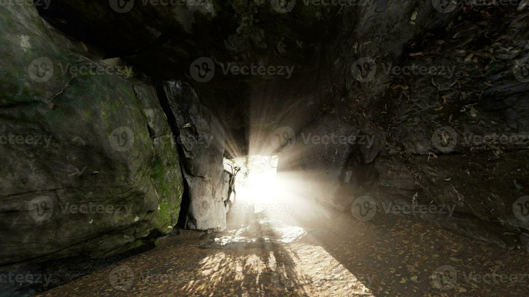 arbre de lumière radieux vers le bas dans grand la grotte photo