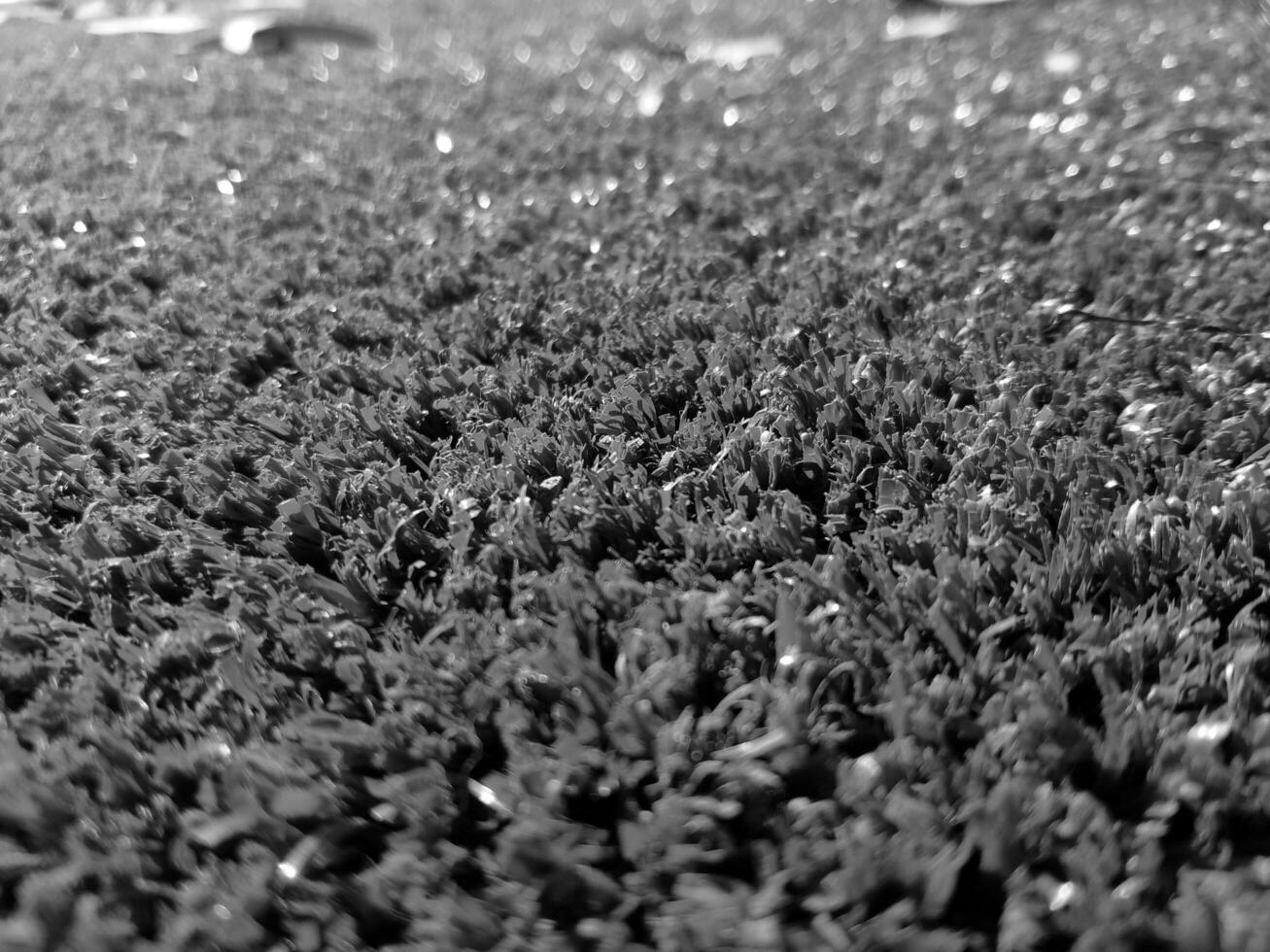 noir et blanc herbe Contexte proche voir, niveaux de gris herbe photo