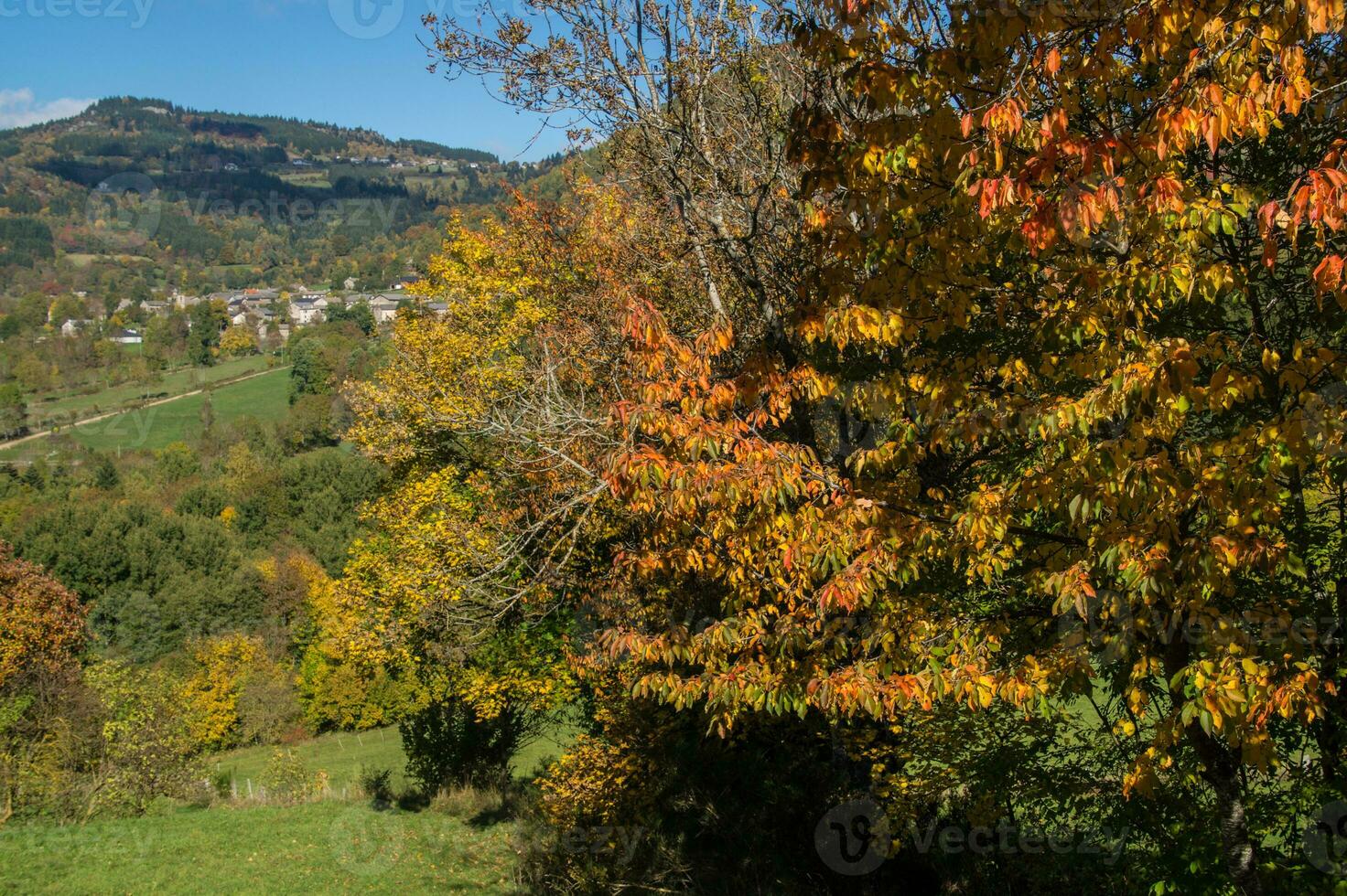 tomber dans auvergne photo