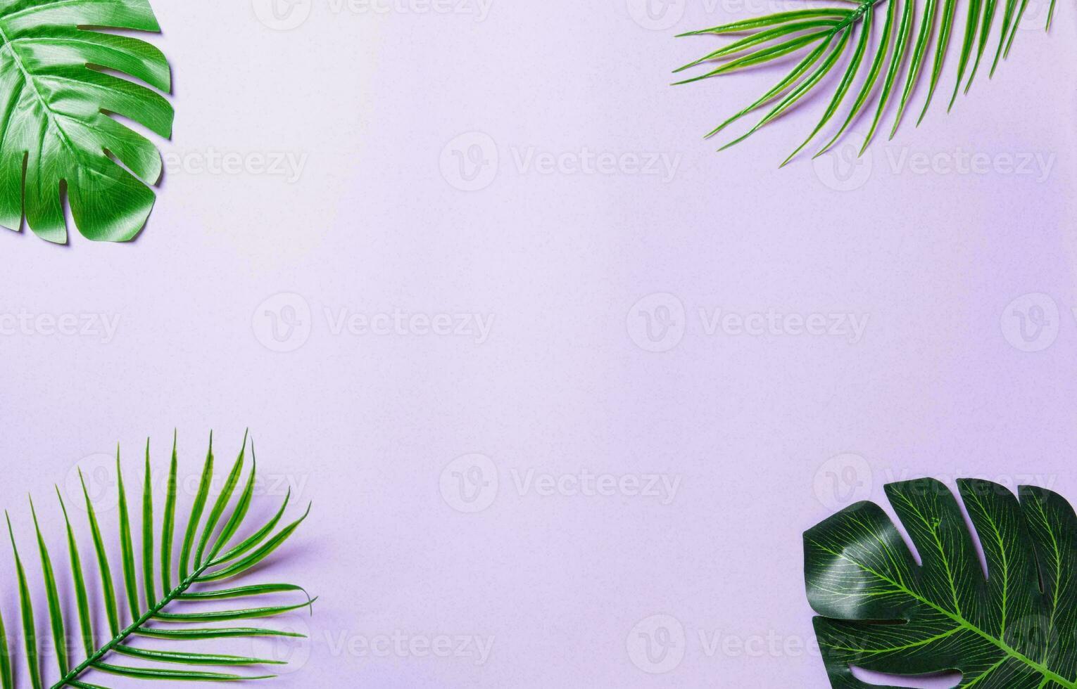 monstera feuille, tropical botanique plante dans élégant décoratif conception isolé sur vide Contexte photo