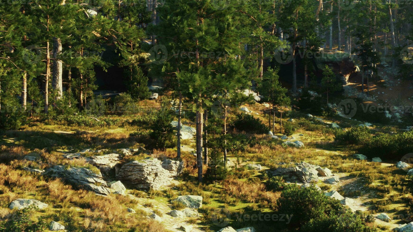 une grand Roche formation dense avec pin des arbres photo