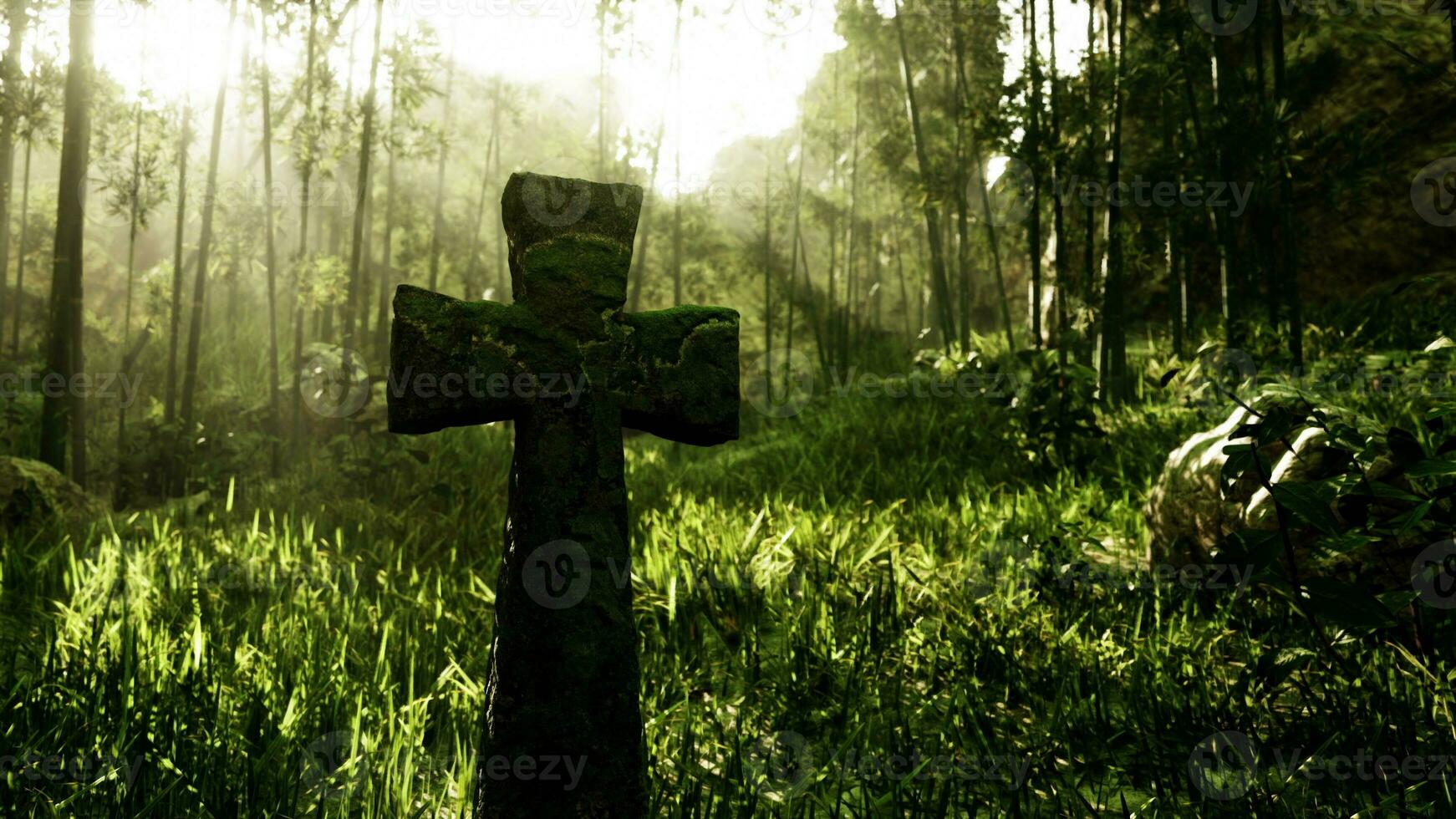 vieux pierre la tombe traverser dans une tropical forêt photo