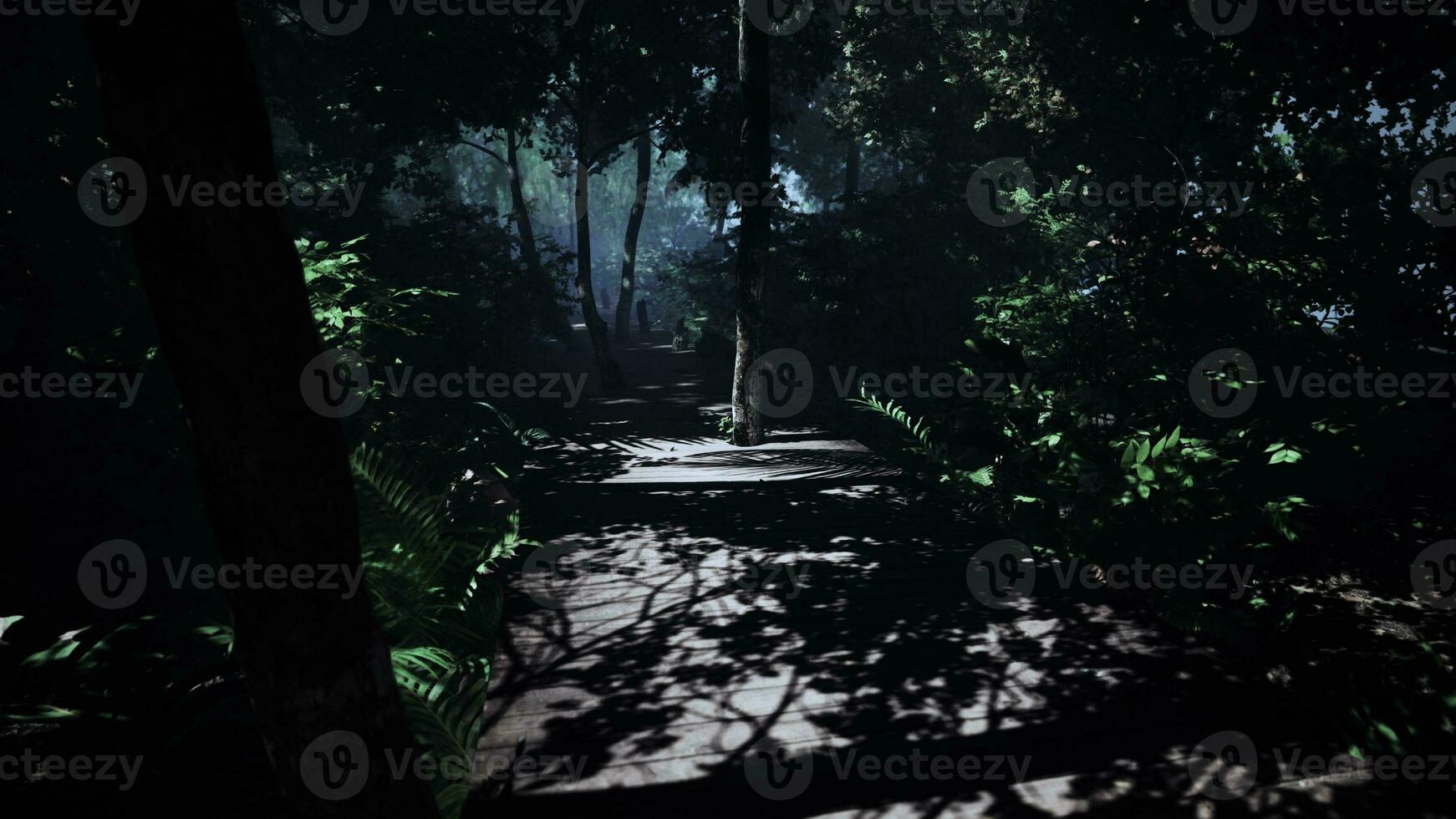 luminosité de le jungle est Souligné par une enroulement en bois Piste photo