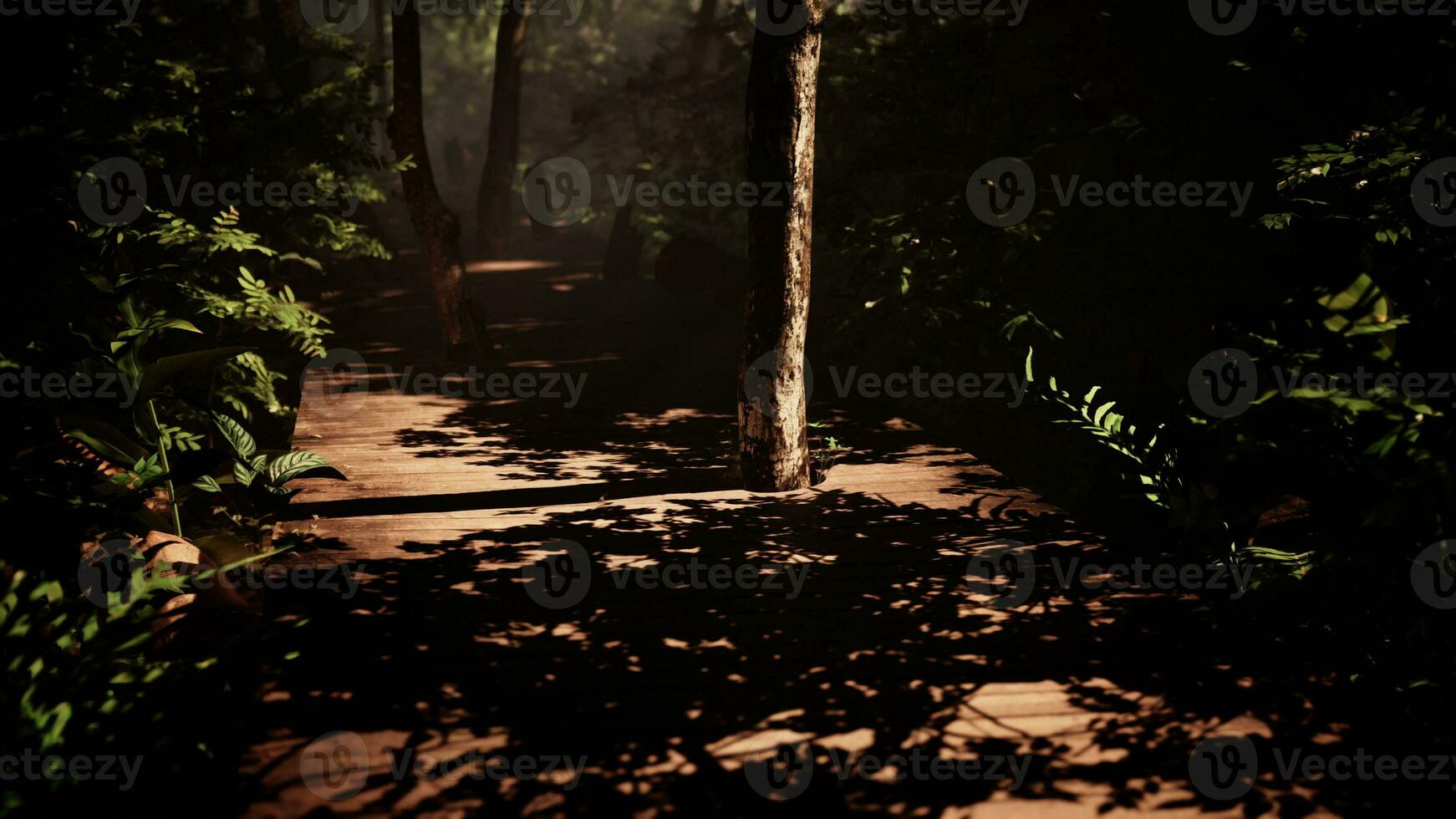 brumeux tropical forêt chemin enroulement par le des arbres photo