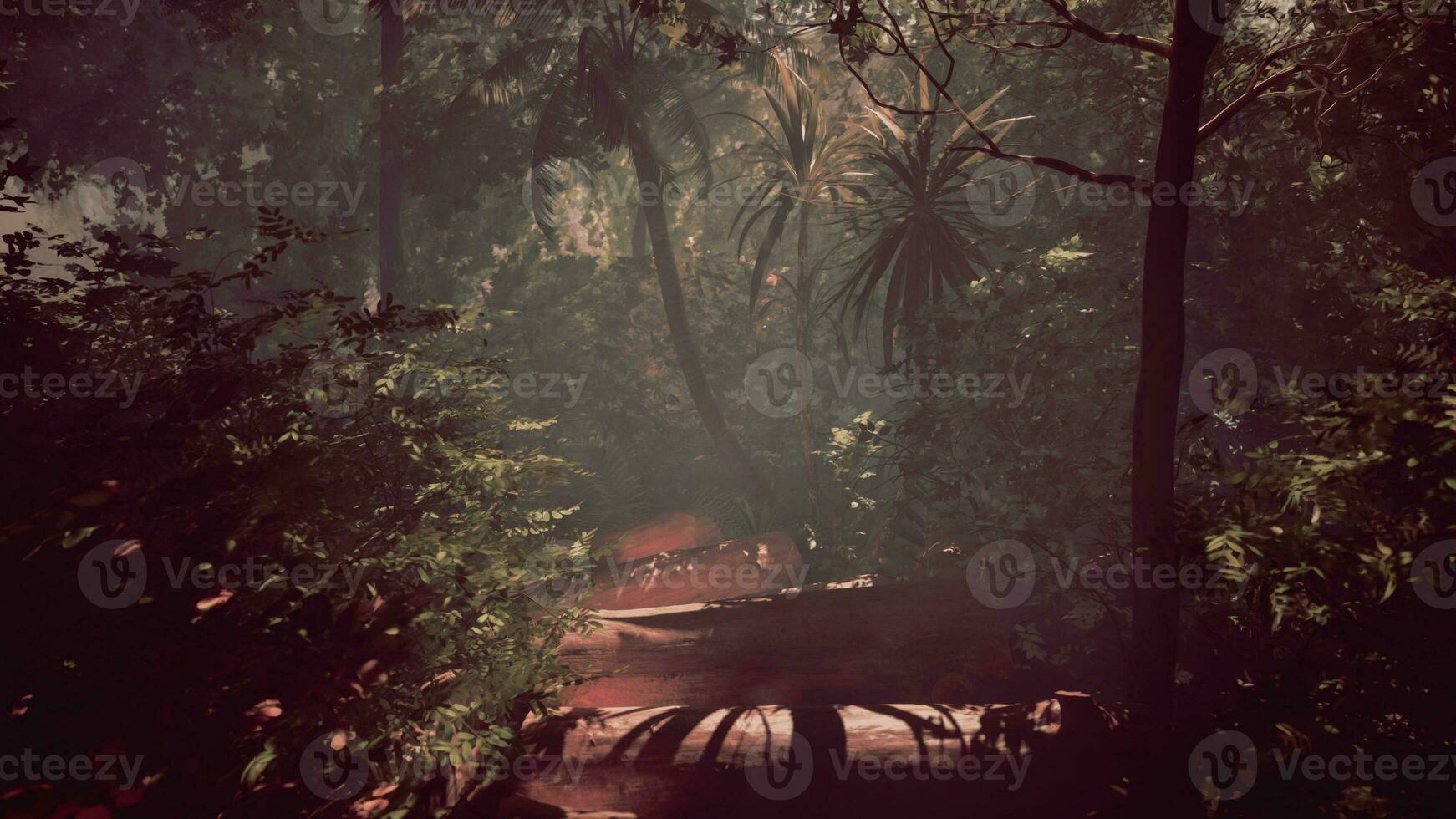 trekking par le brumeux région sauvage de le tropical forêt photo