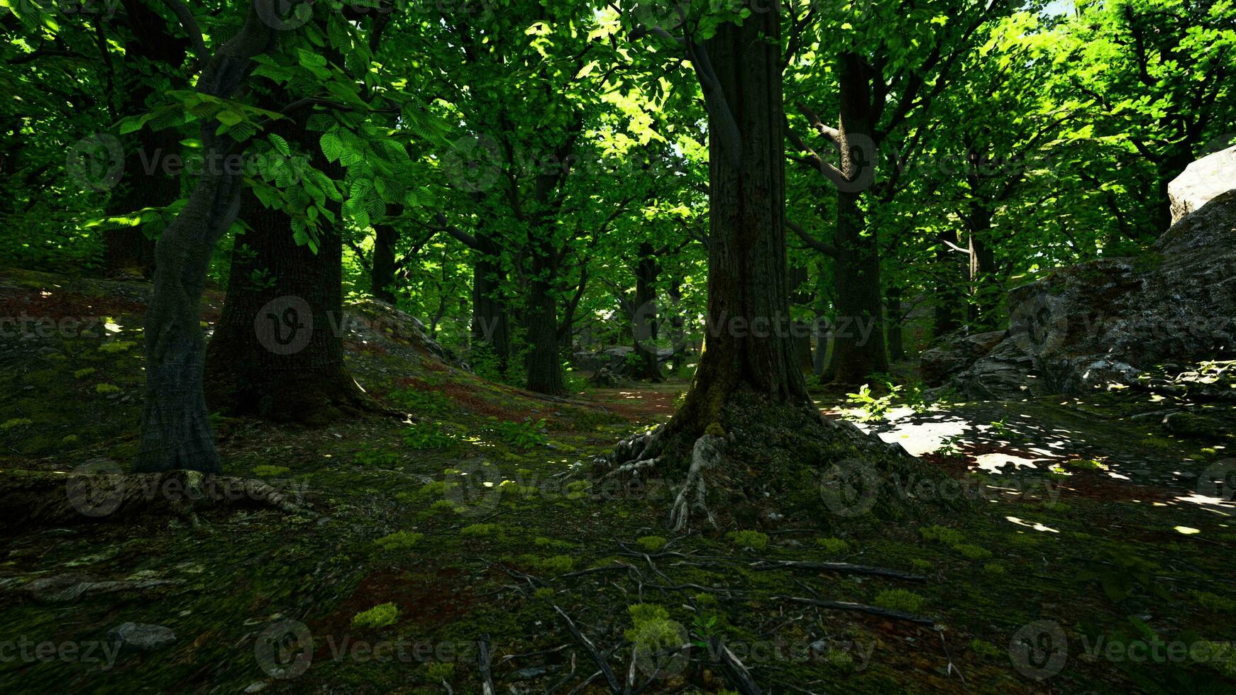 une dense et vibrant forêt avec une multitude de majestueux des arbres photo