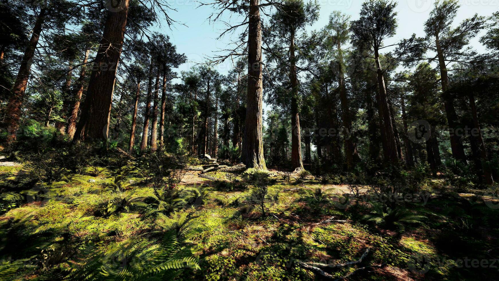 une dense et majestueux forêt avec imposant des arbres photo