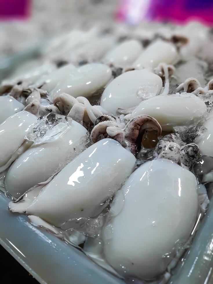 seiche crue fraîche. calmar cru avec de la glace dans l'étal du marché de fruits de mer photo