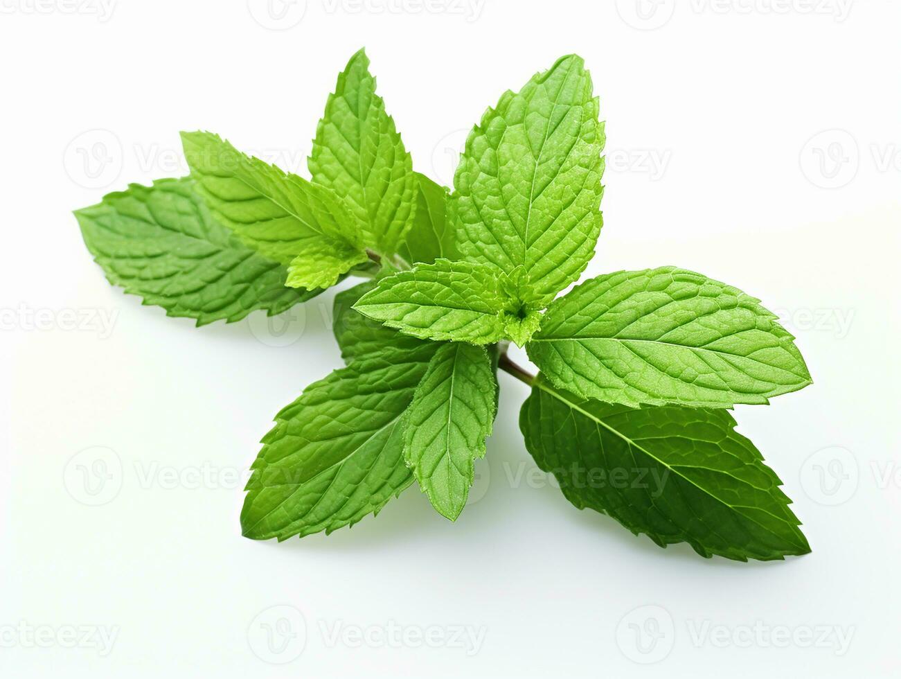 ai généré menthe feuille. Frais menthe sur blanc Contexte. menthe feuilles isolé. plein profondeur de champ. photo