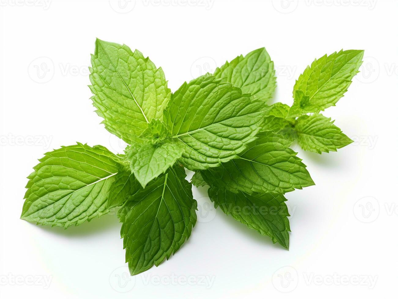 ai généré menthe feuille. Frais menthe sur blanc Contexte. menthe feuilles isolé. plein profondeur de champ. photo