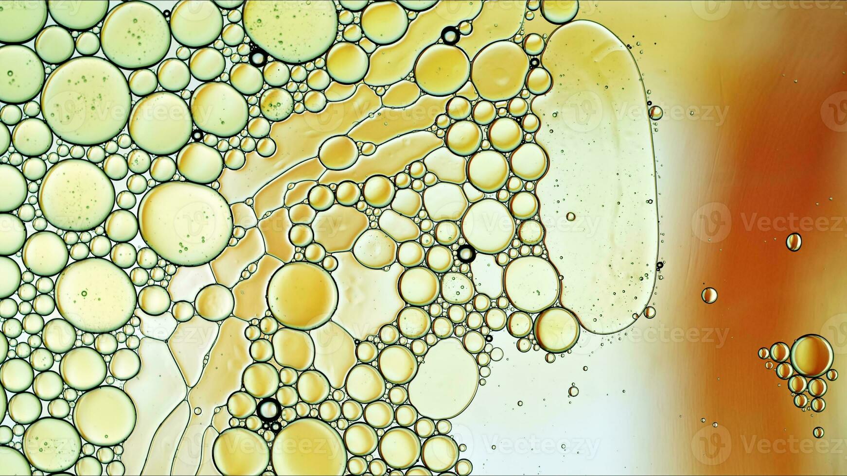 huile alimentaire colorée abstraite laisse tomber des bulles et des sphères qui coule sur la surface de l'eau photo
