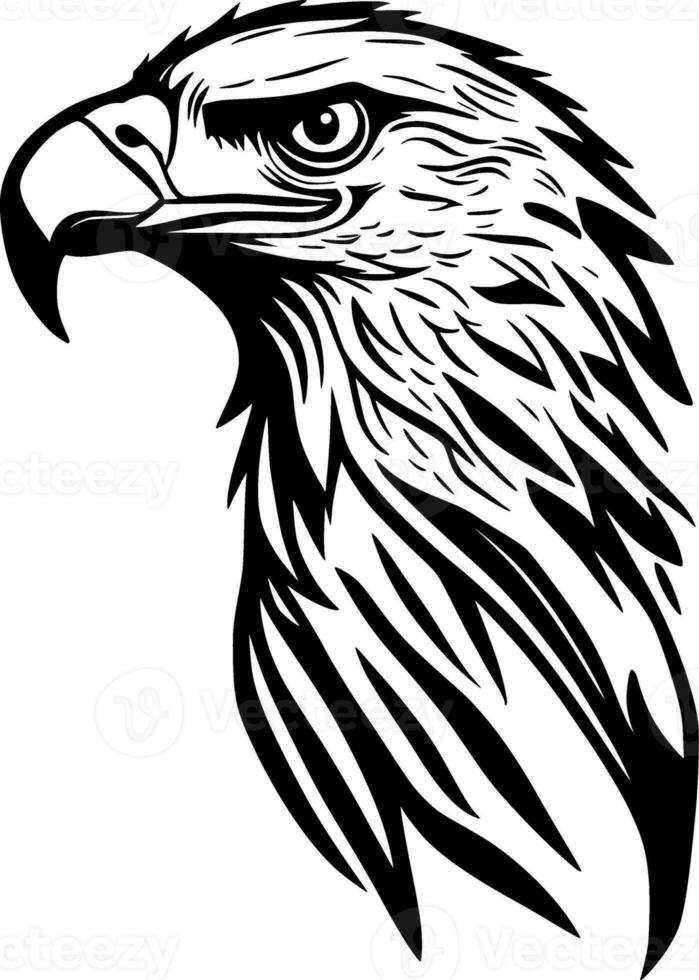 noir et blanc illustration de une Aigle avec ailes photo