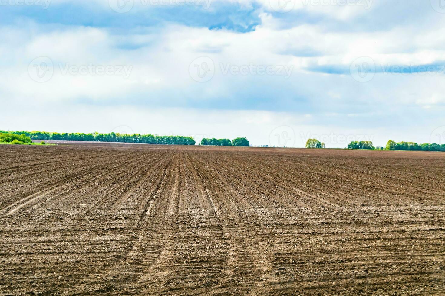 photographie sur le thème grand champ de ferme vide pour la récolte biologique photo