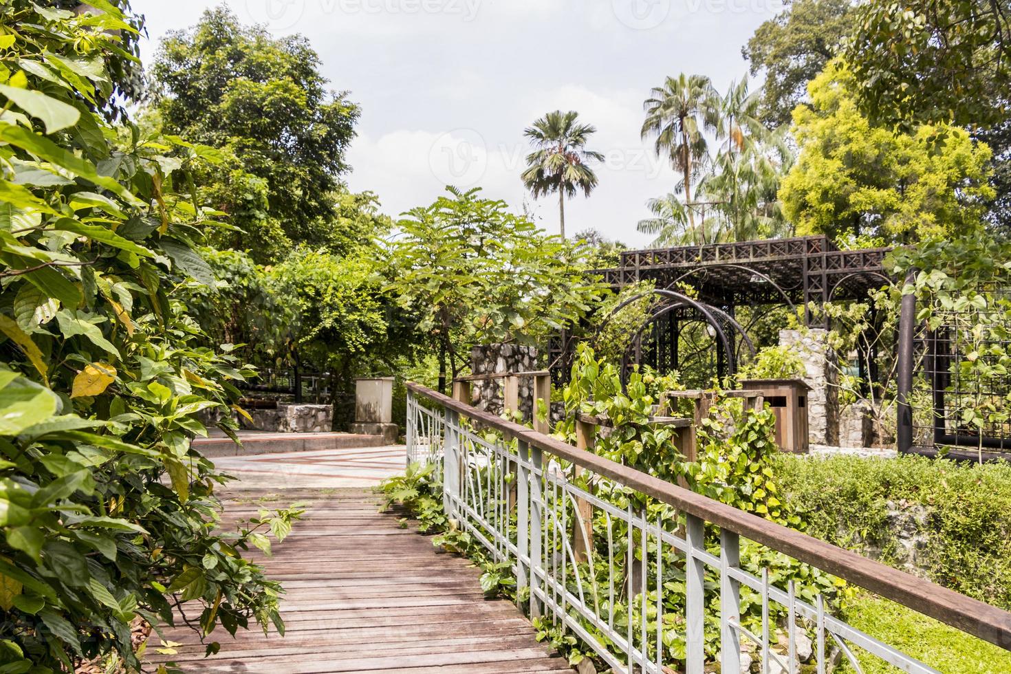 beau mélange de nature et d'architecture jardins botaniques perdana, malaisie. photo