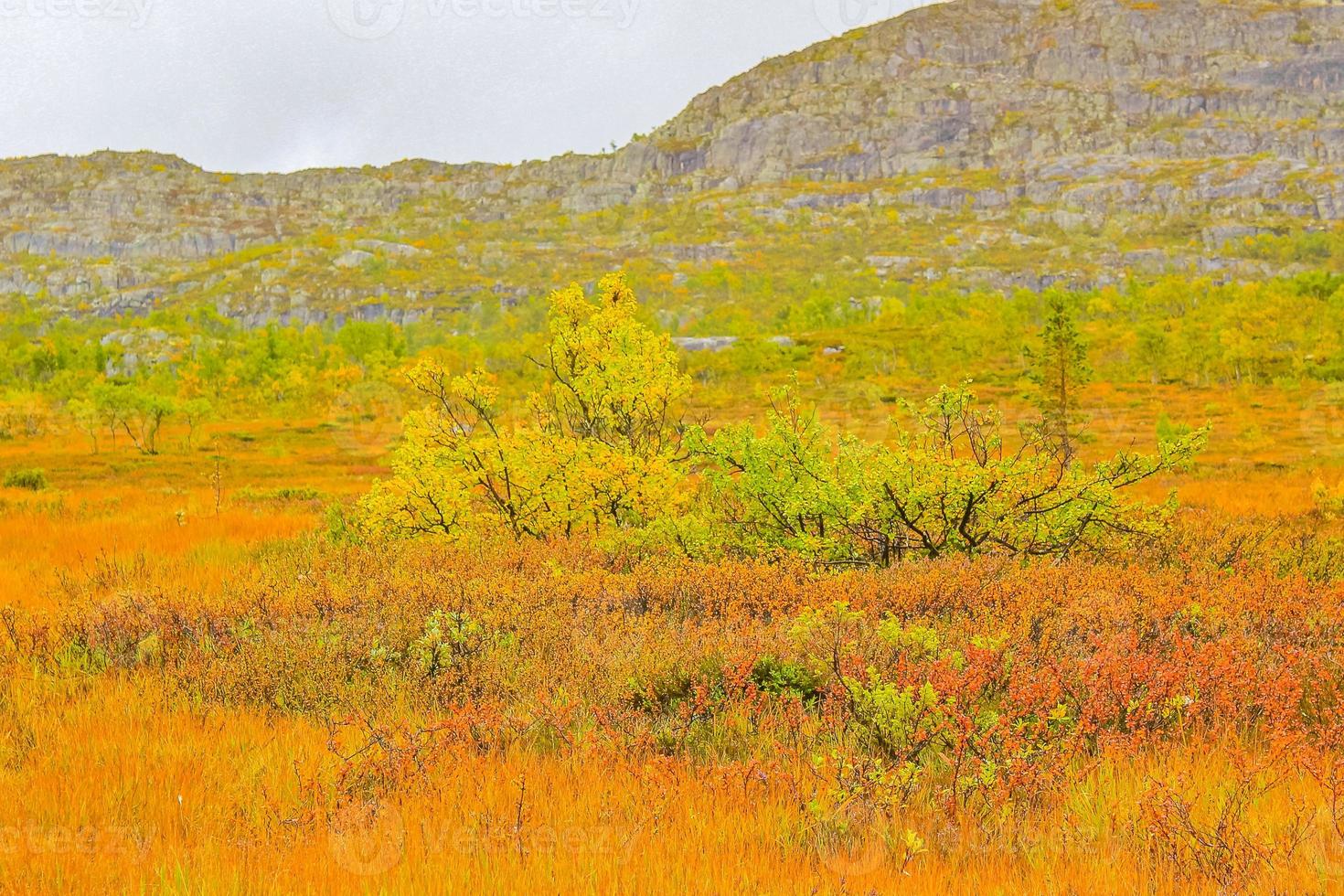 montagnes de bouleaux et paysage naturel brumeux nuageux hovden norvège. photo