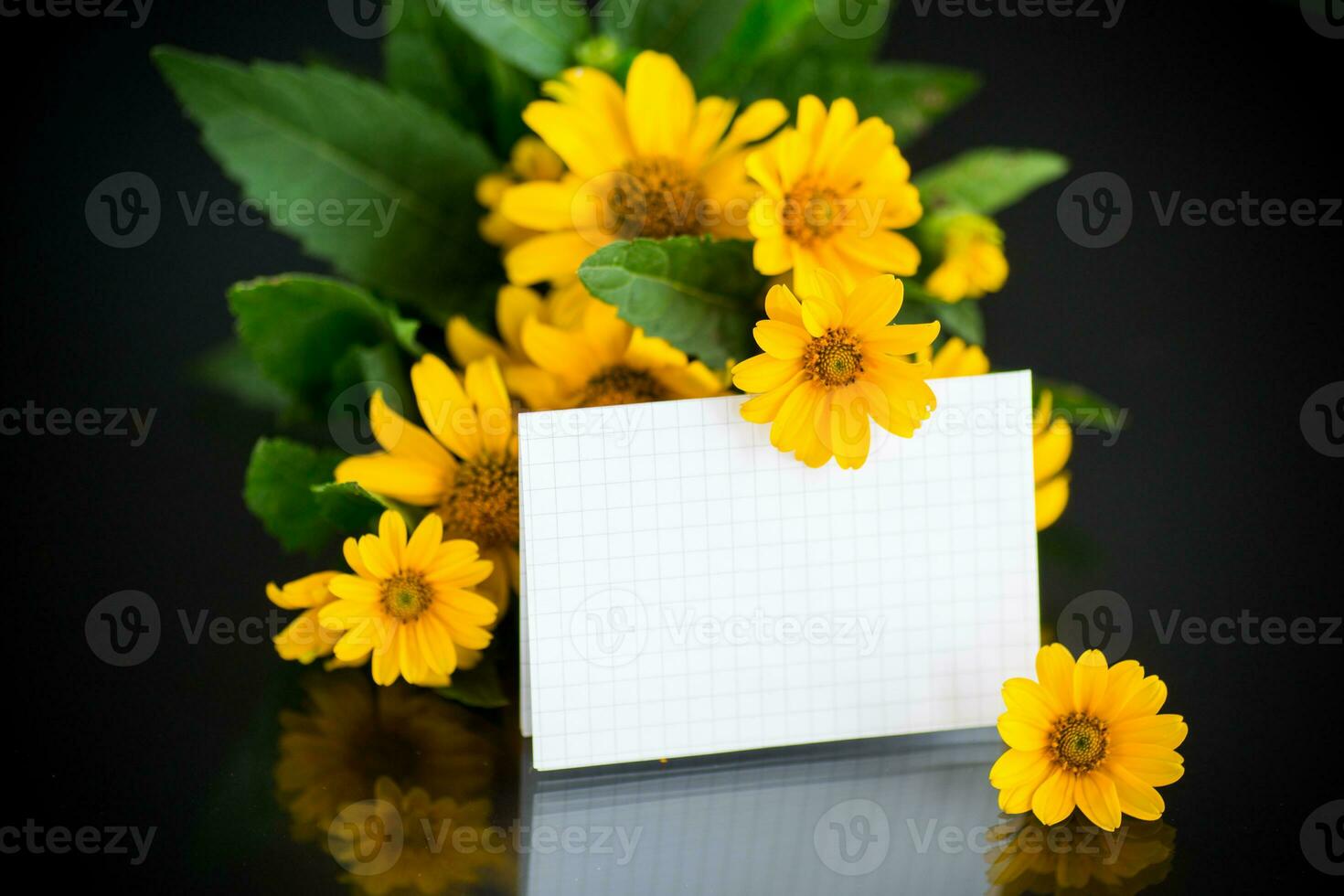 bouquet de magnifique Jaune marguerites sur noir Contexte photo