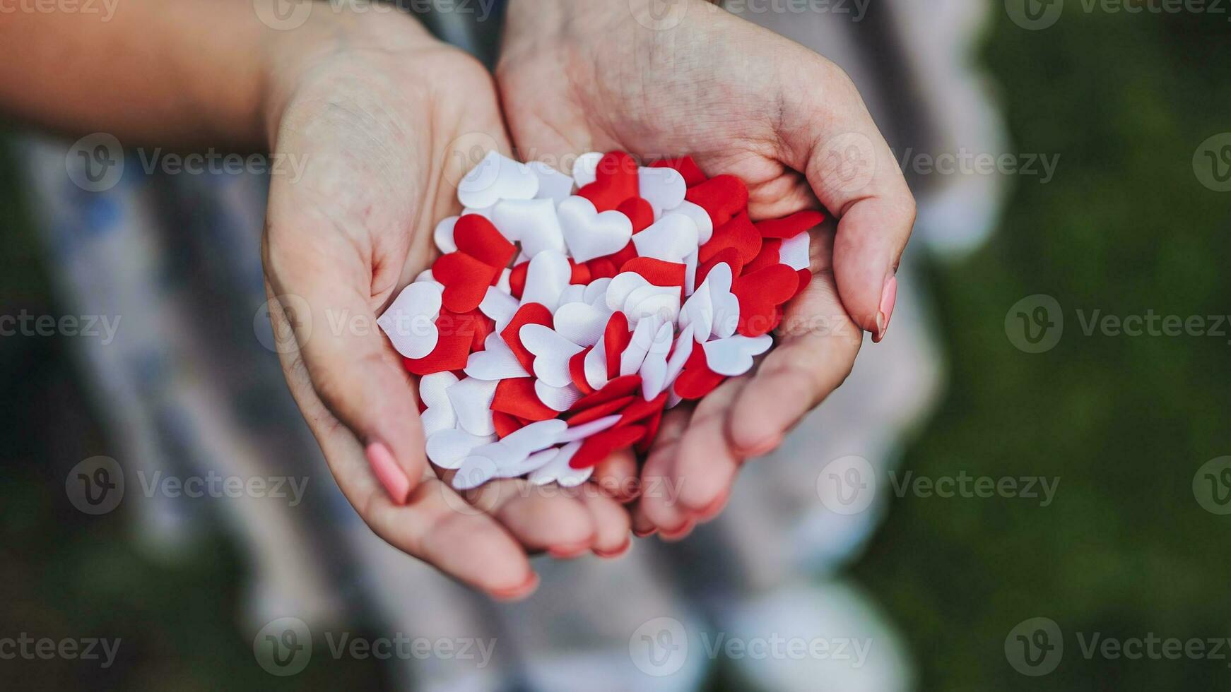 confettis de rouge et blanc cœurs dans le mains de une fille. photo