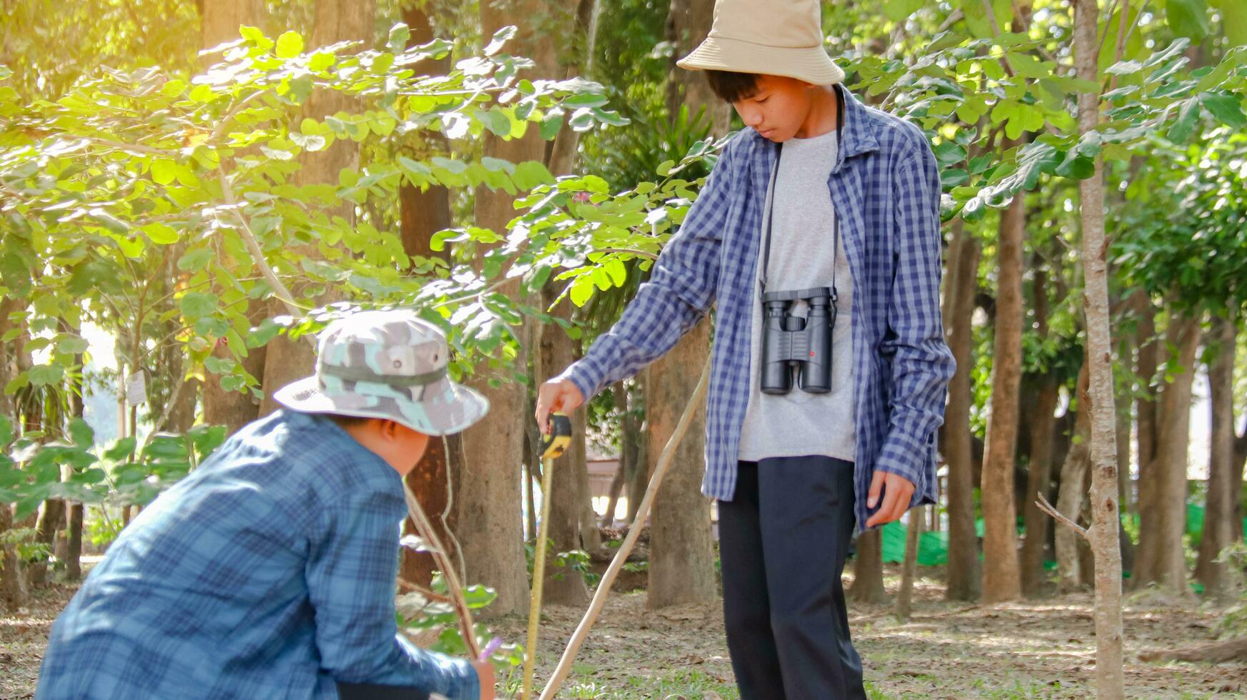 Jeune asiatique garçons sont en utilisant une mesure ruban à mesure une arbre dans une local parc, doux et sélectif concentrer photo