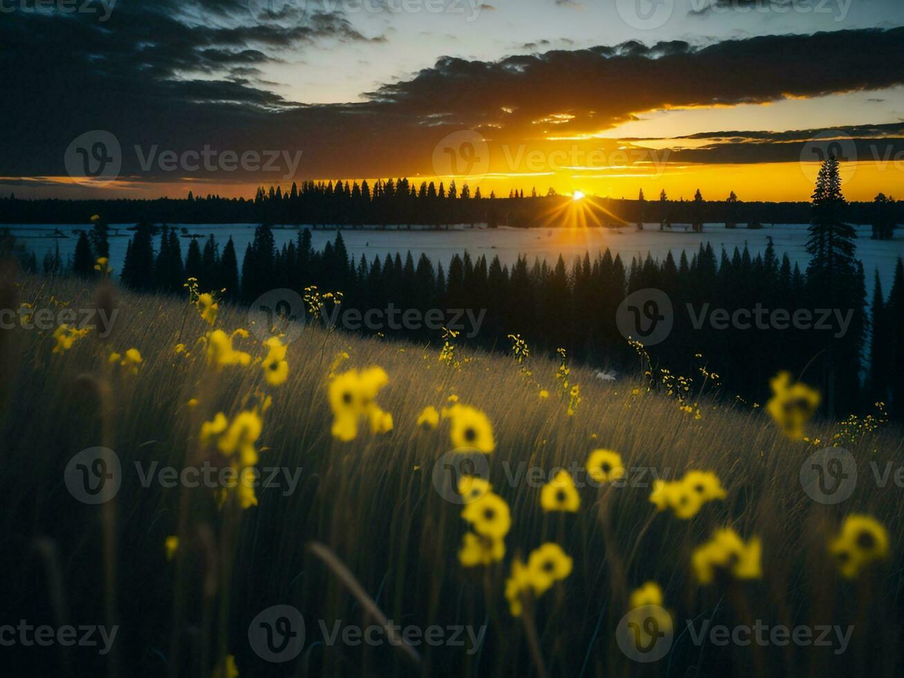 ai généré embrasé des champs de hiver doux concentrer le coucher du soleil Prairie avec Jaune fleurs la nature embrasser. une symphonie de couleurs chaud hiver le coucher du soleil Prairie avec abstrait doux concentrer la nature harmonie. photo