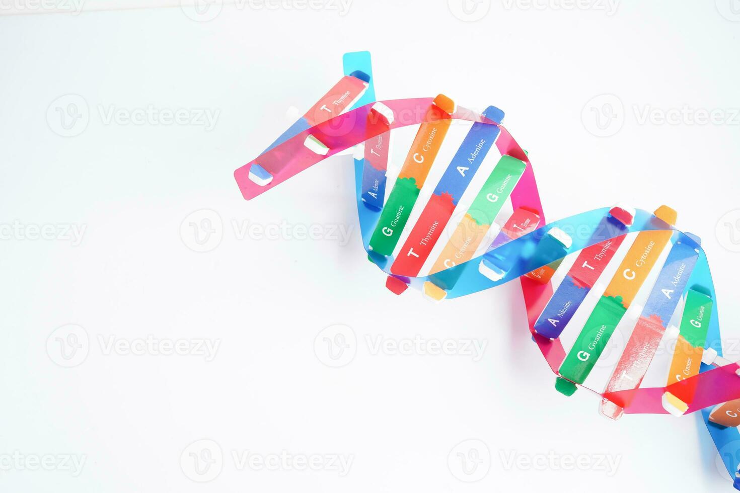 ADN molécule spirale structure modèle isolé sur blanc arrière-plan, chromosome et gène chimique science la biologie. photo