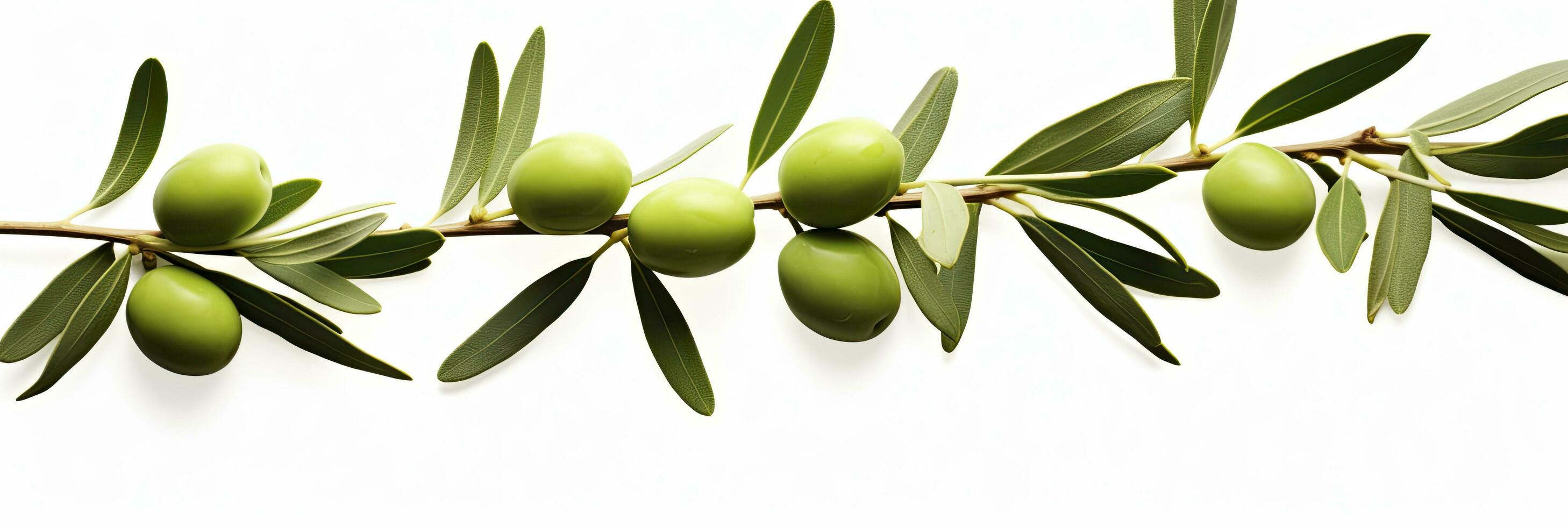 ai généré olive arbre bifurquer, vert Olives et feuilles sur blanc Contexte. ai généré. photo