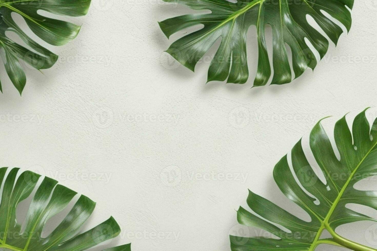 ai généré vide mur Contexte avec tropical feuilles. pro photo