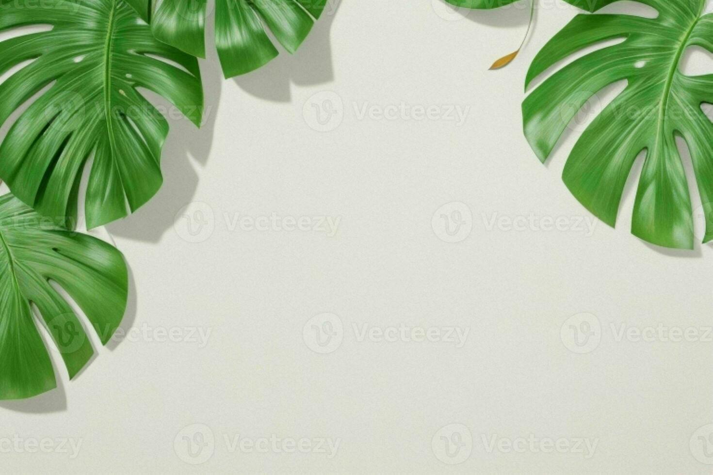 ai généré vide mur Contexte avec tropical feuilles. pro photo