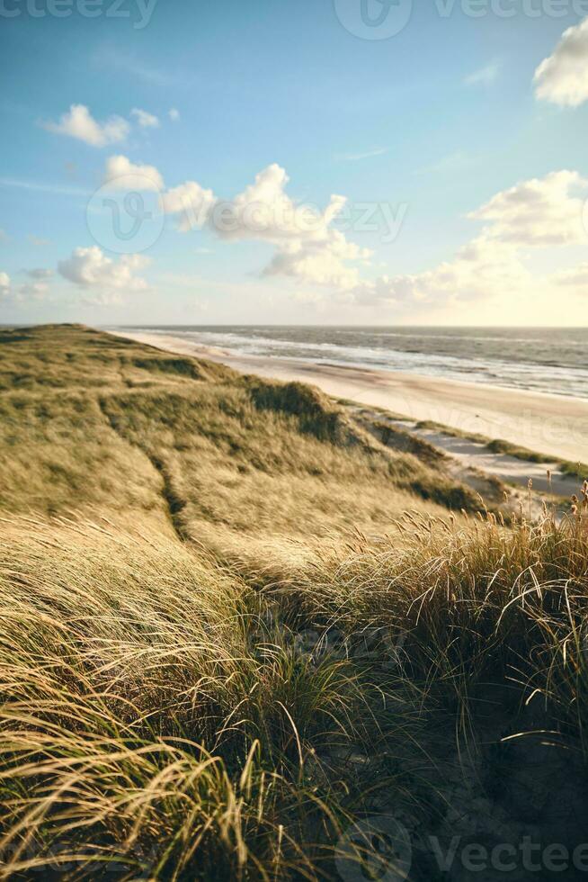 grand dunes à danois côte photo