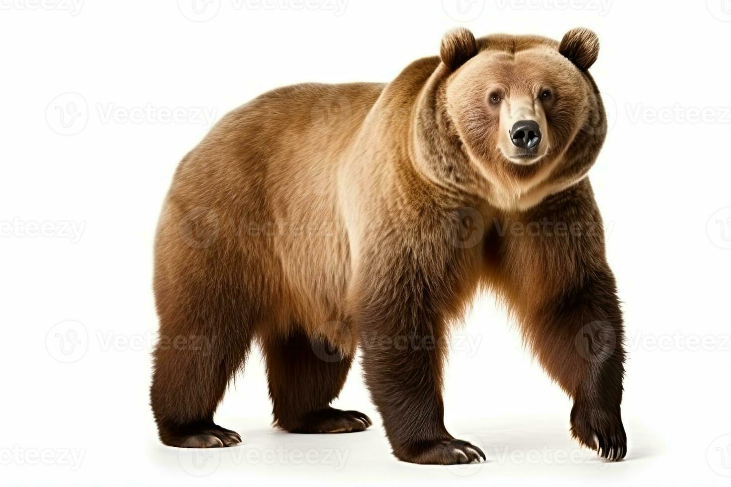 ai généré marron ours clipart photo