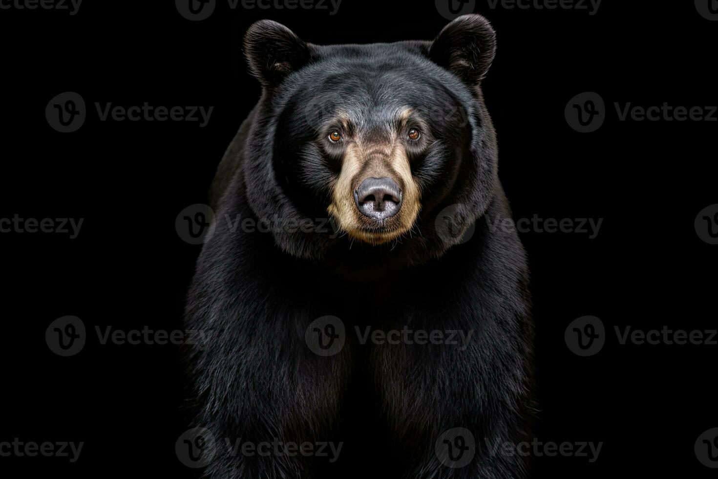 ai généré réaliste noir ours clipart photo
