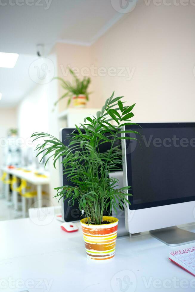 une confortable lieu de travail dans une cotravail espace avec une ordinateur et une fleur dans une pot photo