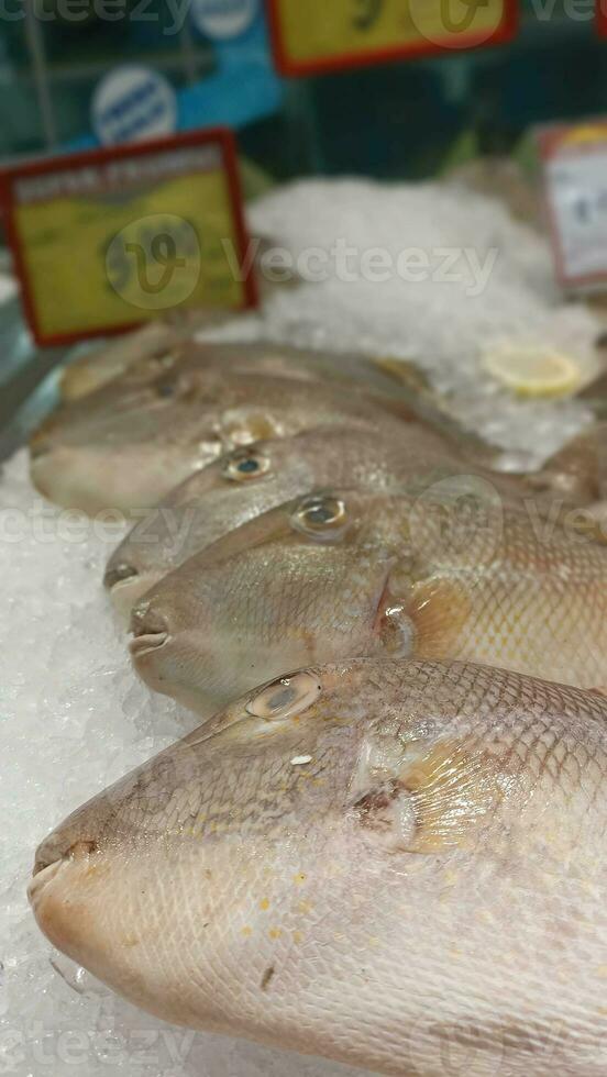 Frais poisson dans le supermarché prêt à acheter photo