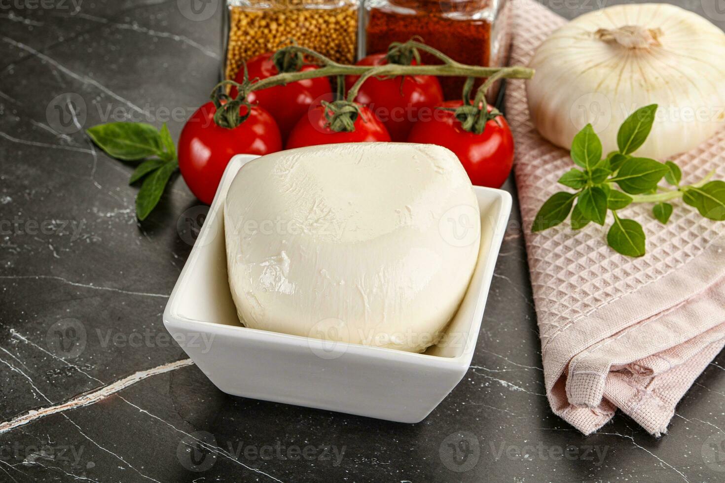 italien fromage mozzarella buffle Balle photo