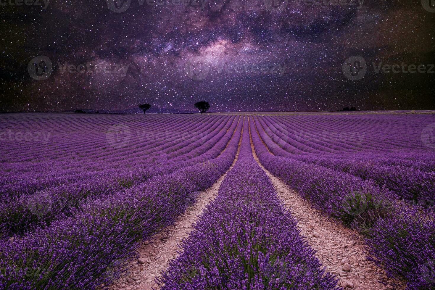 incroyable la nature paysage. étourdissant nuit paysage, laiteux façon ciel avec lignes de épanouissement lavande prairie. printemps été paysage, artistique paysage et skyscape voir. inspirant la nature paysage photo