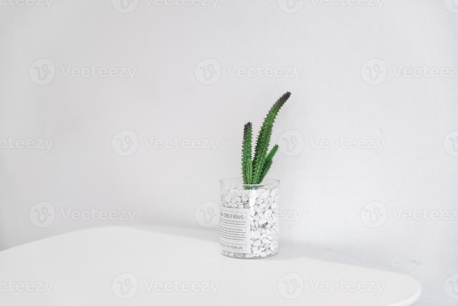 quelques plantes vertes sur le mur blanc de la boutique de loisirs photo