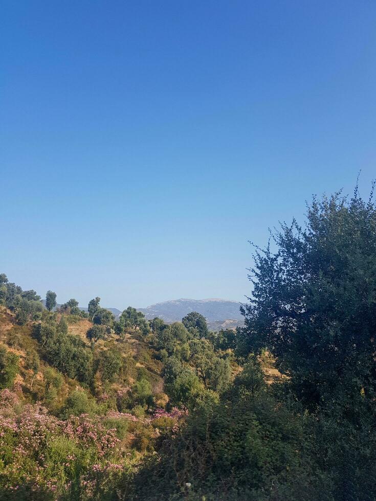 chêne des arbres et Montagne paysage photo