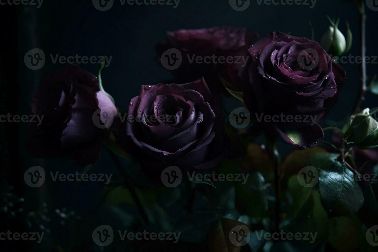 ai généré violet des roses fermer foncé romantique Contexte. fleurs fond d'écran. ai généré photo