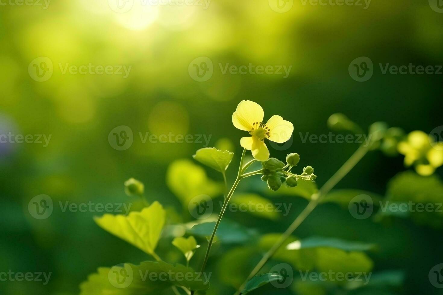 ai généré été la nature Contexte. ai généré photo