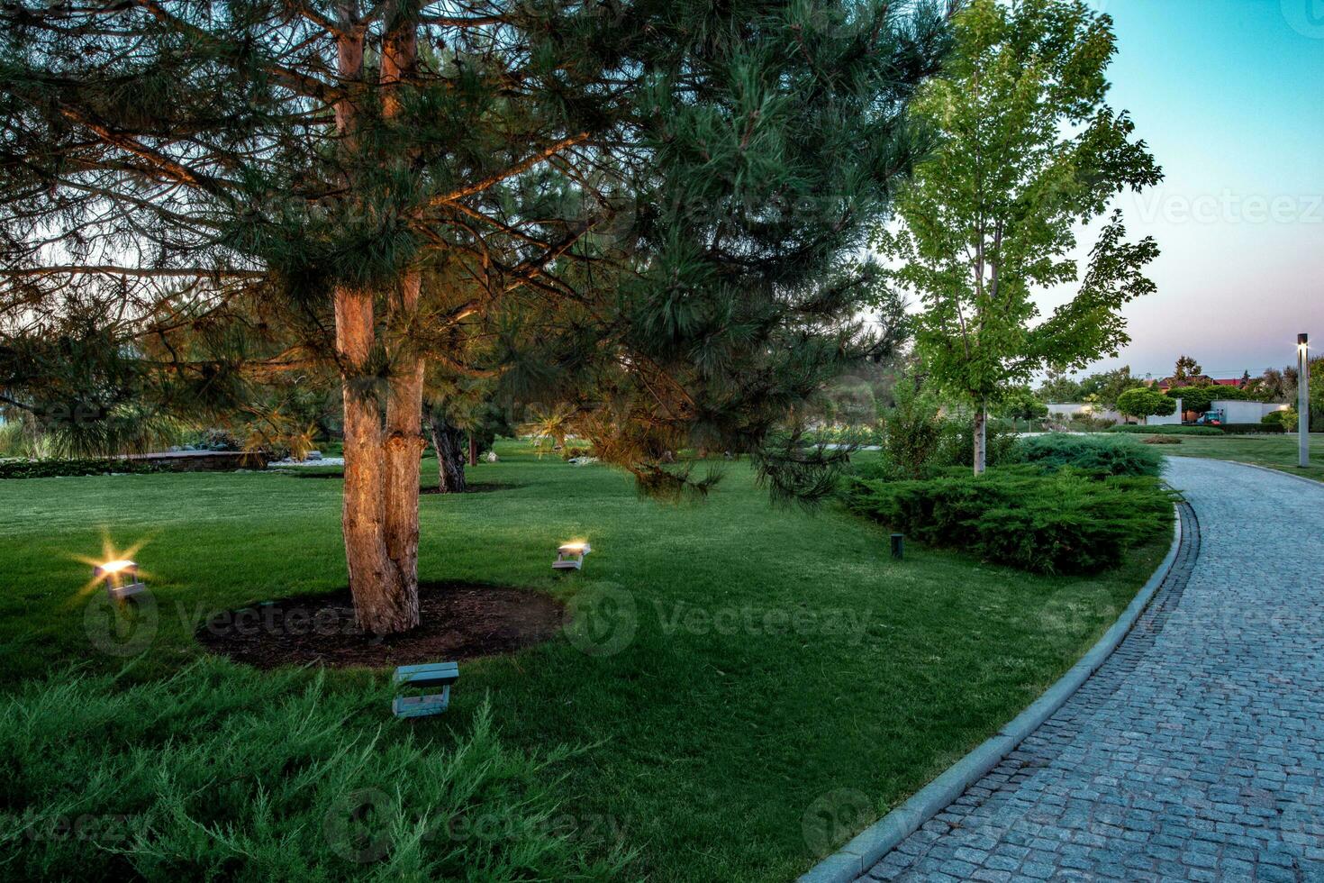 paysager jardin de pays biens avec des arbres, genévrier des buissons, éclairage et pavé chemin photo