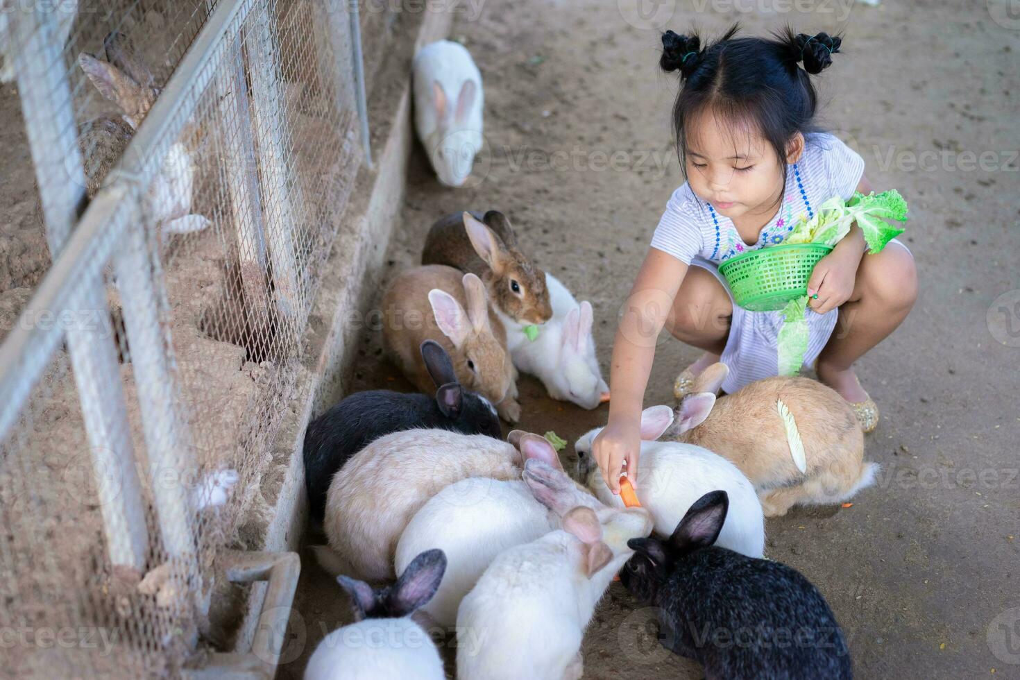 mignonne petite fille asiatique nourrissant le lapin à la ferme photo