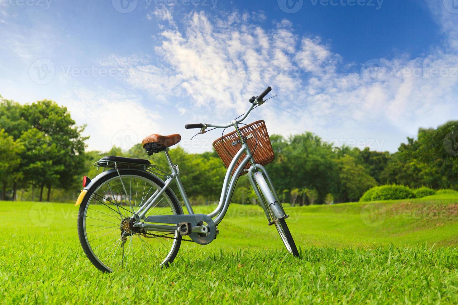 vélos dans le parc photo