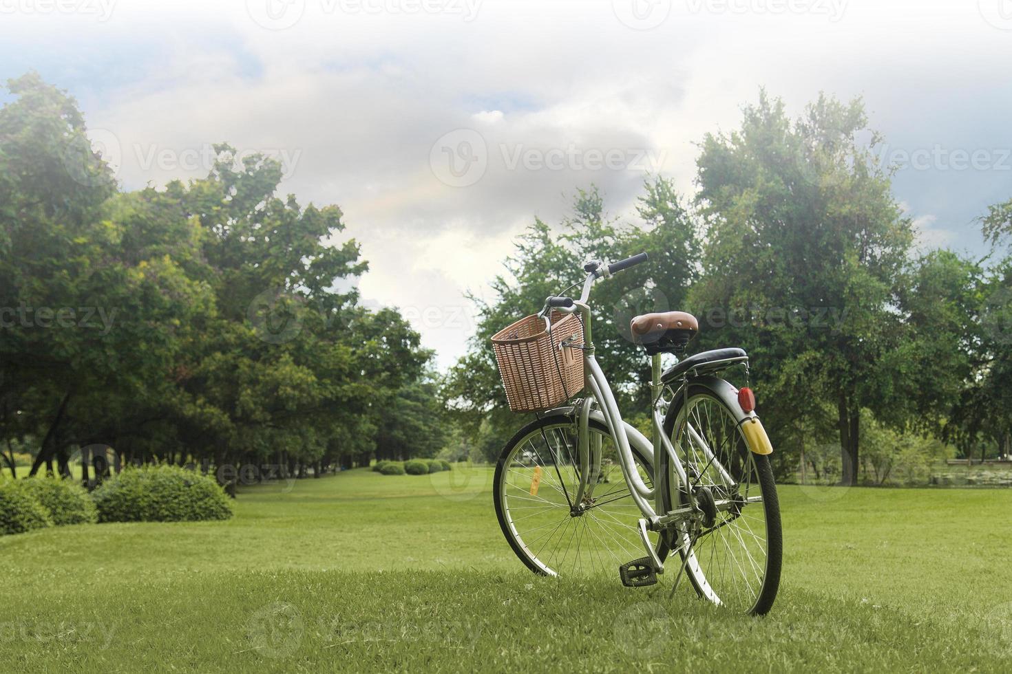 vélos dans le parc photo