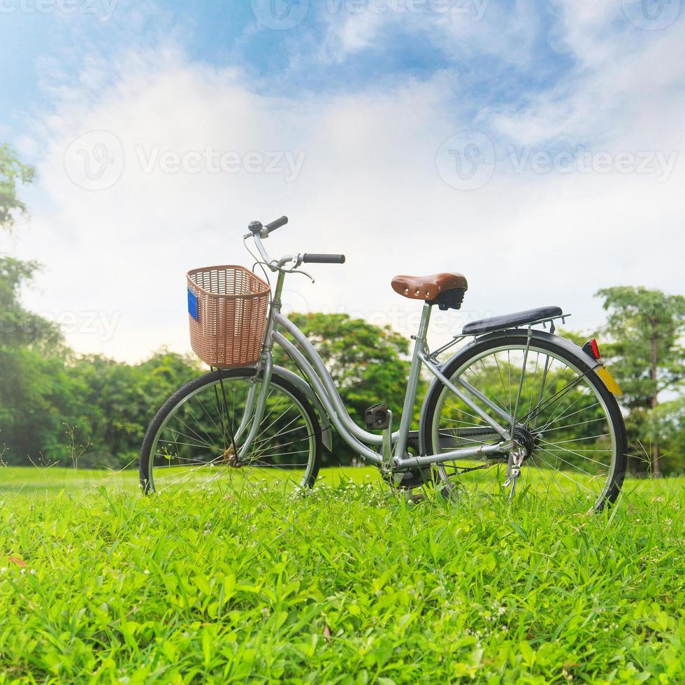 vélos dans le parc photo