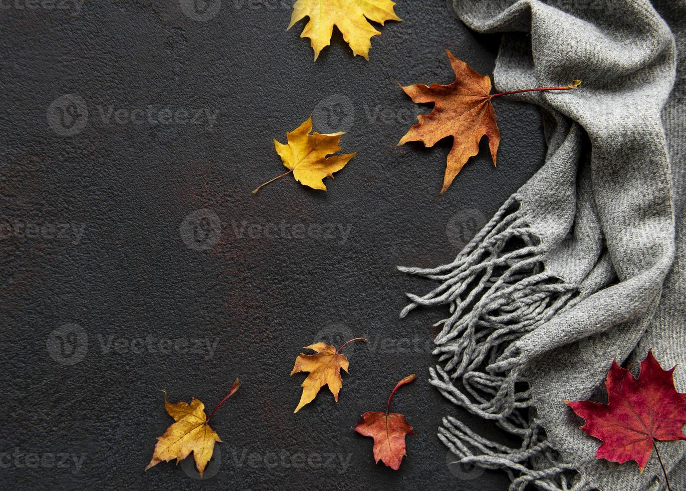 feuilles d'érable d'automne et écharpe en laine sur fond de béton noir. photo