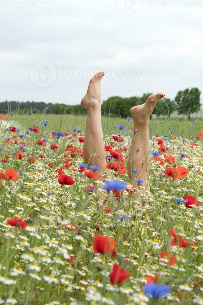 femelle jambes bâton en dehors de le champ de multicolore fleurs, explosion de Couleur photo