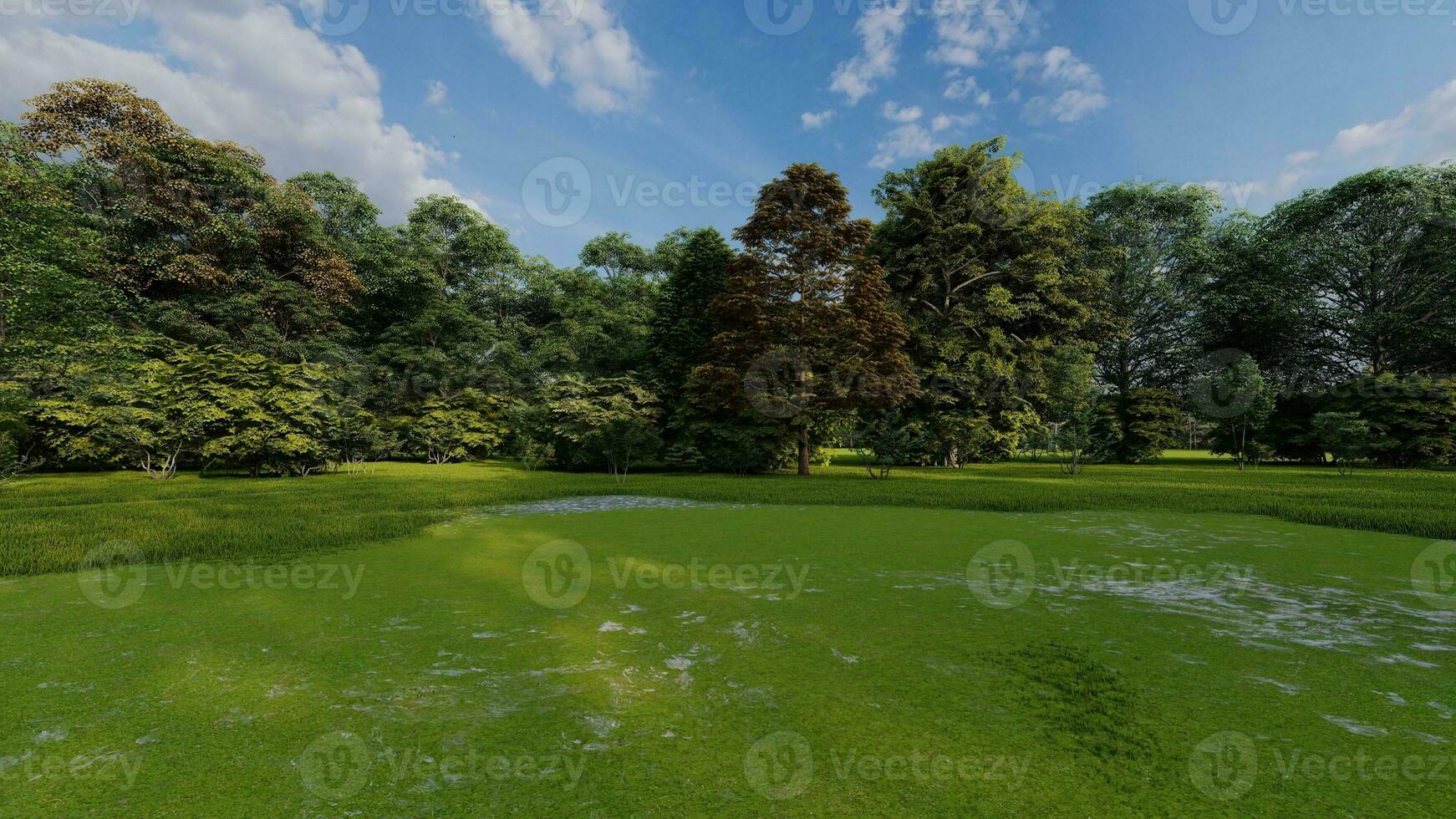 ai généré magnifique Matin lumière dans Publique parc avec vert herbe champ photo