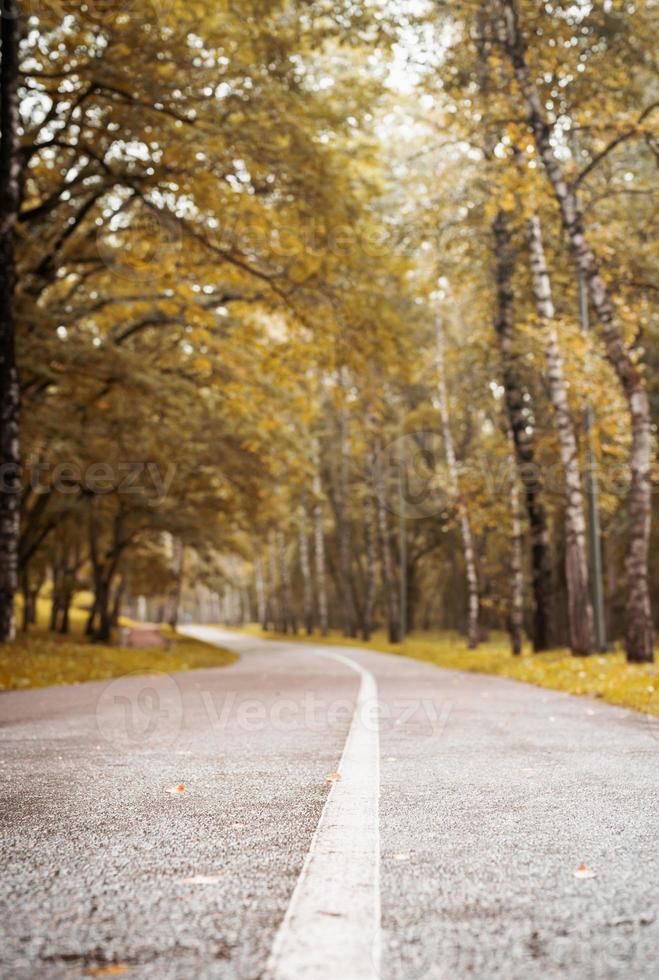 route dans la forêt d'automne, arrière-plan flou photo