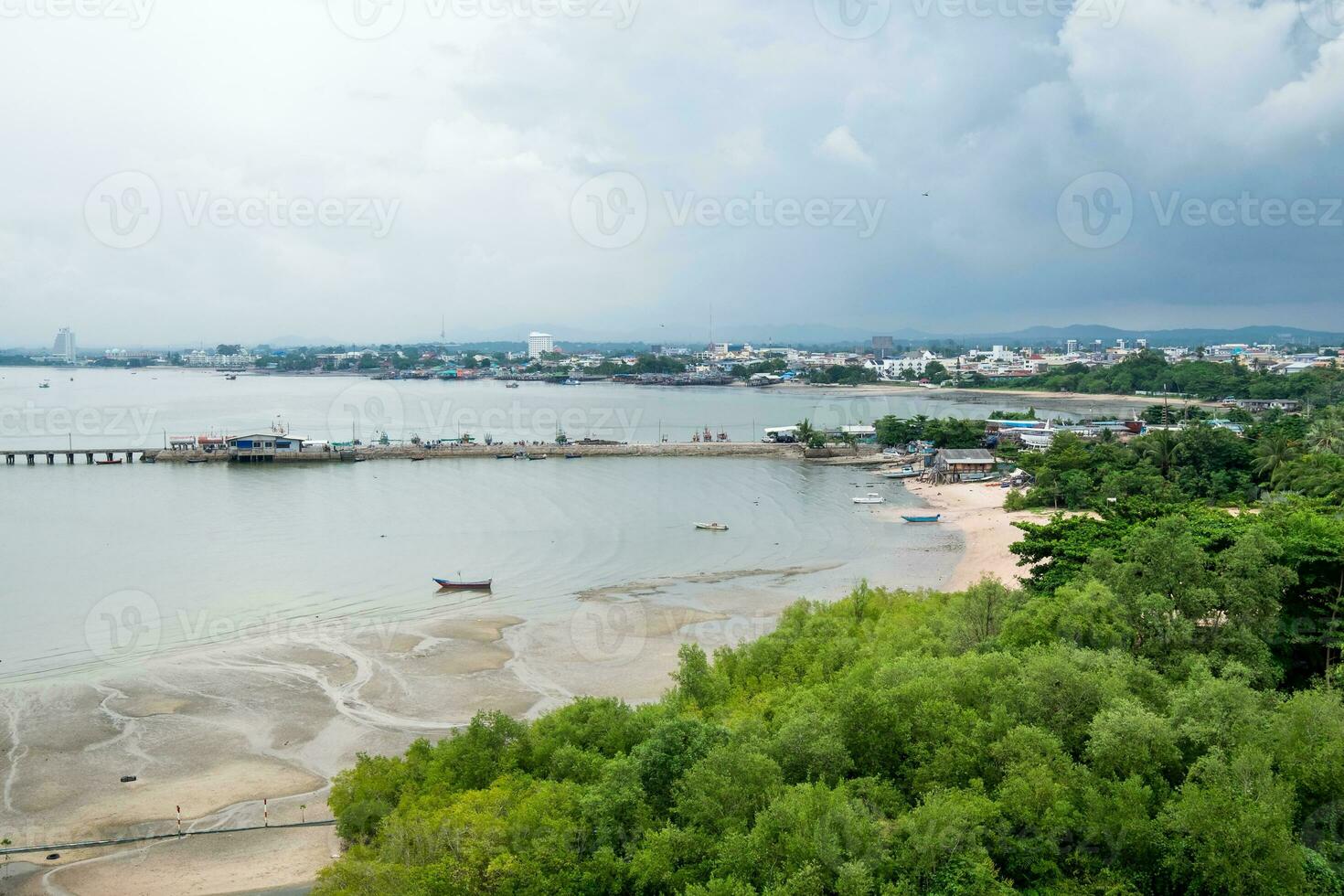 côte mer avec jetée sur mangrove forêt photo