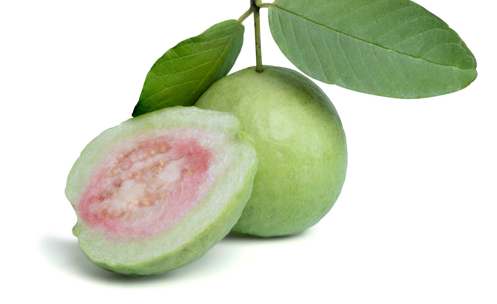 biologique goyave fruit avec tiges et feuilles, brillant vert peau, rose goyave chair, avec feuilles isolé sur blanc Contexte. photo